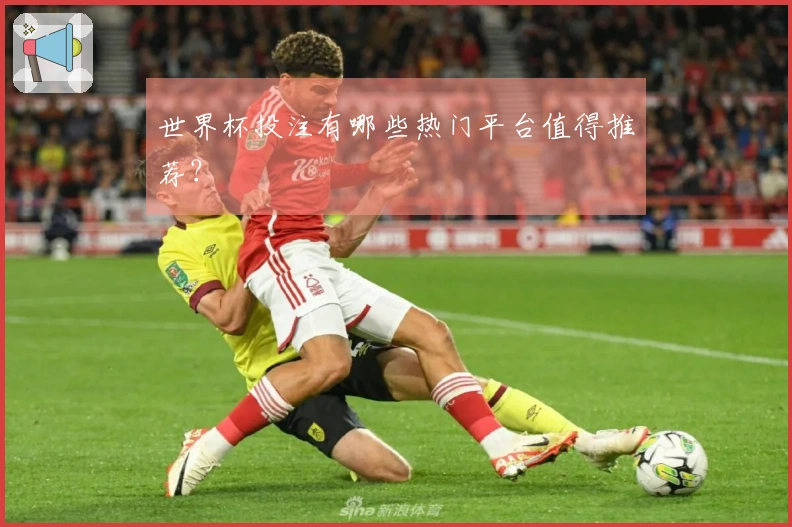 世界杯投注有哪些热门平台值得推荐？