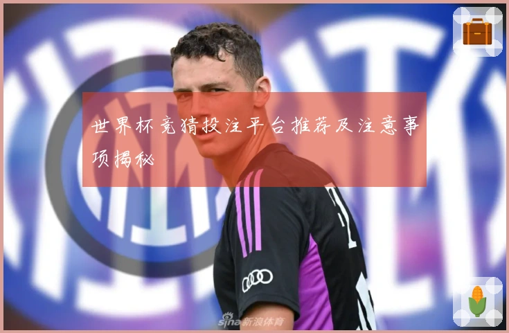 世界杯竞猜投注平台推荐及注意事项揭秘