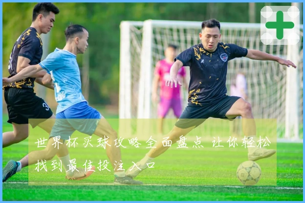 世界杯买球攻略全面盘点 让你轻松找到最佳投注入口