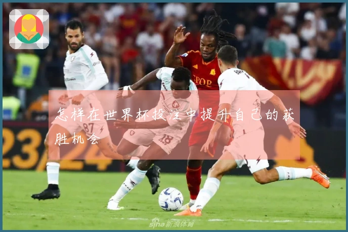 怎样在世界杯投注中提升自己的获胜机会