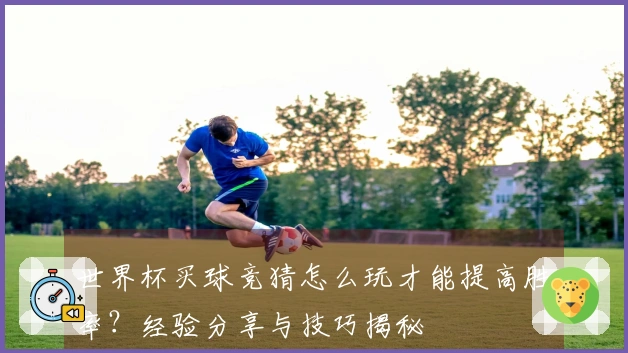 世界杯买球竞猜怎么玩才能提高胜率？经验分享与技巧揭秘